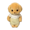 ⭐