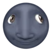 🌚