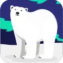 🐻