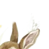 🐇