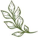 🌱