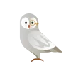 🦉
