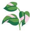 🍀