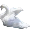 🦢