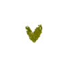 💚