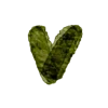 💚