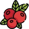 🍓
