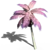 🌴