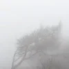 🌫️