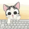 ⌨️