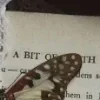 🦋