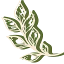 🌱