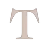 🩶