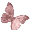 🦋