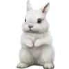 🐇