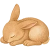 🐰