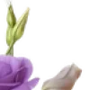💜