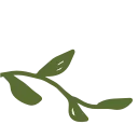 🌱