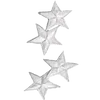 🌟