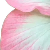 🌸
