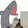 🦈