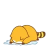 🦝