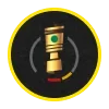 🏆