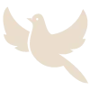 🕊