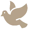 🕊