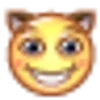 😺