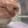 😑