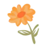 🌺