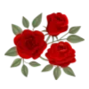 🌹