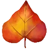 🍂
