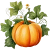 🍅