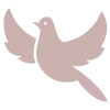 🕊