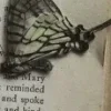 🦋