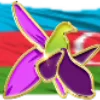🇦🇿