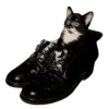 🐈‍⬛