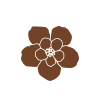 🟫