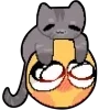 🐱