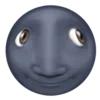 🌚