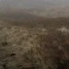 🌫️