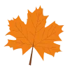 🍁