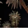 🤩