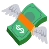 💸