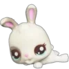 🐰