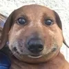 😊