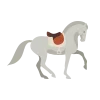 🐎