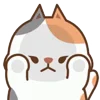🐱
